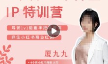 夏九九·28天小红书博主IP特训营《第7期》抓住小红书商业红利
