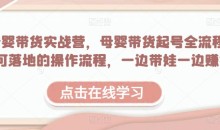 母婴带货实战营,母婴带货起号全流程,可落地的操作流程,一边带娃一边赚钱(附素材)