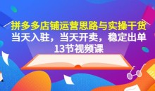 拼多多店铺运营思路与实操干货,当天入驻,当天开卖,稳定出单(13节课)