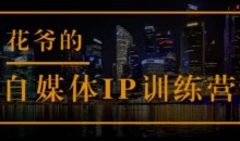 花爷的自媒体IP训练营(第12-13期),一套专业科学的自媒体IP武器库-价值2399元