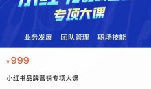 小红书品牌营销专项大课