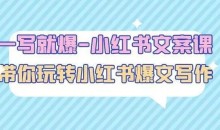 一写就爆-小红书文案课:带你玩转小红收爆文写作(45节课)