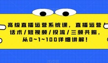 高级直播运营系统课,直播运营/话术/短视频/投流/三频共振,从0~1~100详细讲解!