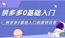 拼多多运营0-1实操特训营,拼多多0基础入门,从基础到进阶的可实操玩法