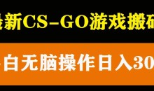 最新csgo游戏搬砖游戏,无需挂机小白无脑也能日入300+