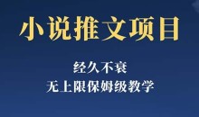 经久不衰的小说推文项目,单号月5-8k,保姆级教程,纯小白都能操作