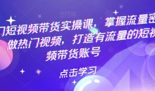 热门短视频带货实操课,掌握流量密码,做热门视频,打造有流量的短视频带货账号