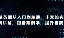 AI精英课从入门到精通,丰富的实战案例讲解,跟着案例学,提升自我