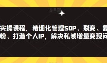 私域实操课程,精细化管理SOP、裂变、复购、转粉、打造个人IP,解决私域增量变现问题