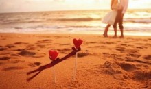 《情叔叔入房术》涵盖:实战战略调情理论,各种场合操作指南,慢半拍原理等内容