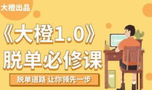 大橙1.0《脱单必修》