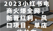 2023小红书电商火爆全网,新晋红利,风口项目,单店收益在3000-30000