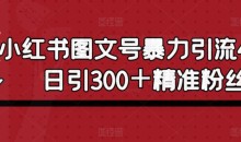 小红书图文号暴力引流4.0,日引300+精准粉丝【揭秘】