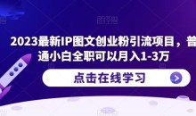 2023最新IP图文创业粉引流项目,普通小白全职可以月入1-3万
