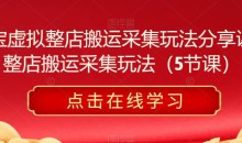 淘宝虚拟整店搬运采集玩法分享课,整店搬运采集玩法(5节课)