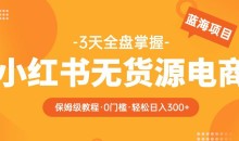 2023【阿本小红书无货源电商训练营】保姆级教程,从0到1,3天全盘掌握,轻松日入300+
