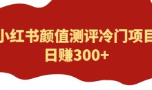 外面1980的项目,小红书颜值测评冷门项目,日赚300+【揭秘】