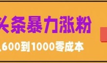 微头条暴力涨粉技巧搬运文案就能涨几万粉丝,简单0成本,日赚600【揭秘】