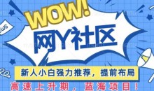 有道词典WOW社区项目,新人小白强力推荐,提前布局,高速上升期,蓝海项目【揭秘】