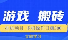 游戏挂机挂机项目,多机操作,日赚300【揭秘】