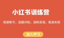 小红书训练营,搭建账号,选题对标,涨粉变现,看透本质