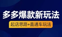 海神·多多爆款新玩法,起店思路+直通车玩法(3节精华课)