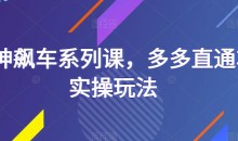 海神飙车系列课,多多直通车实操玩法