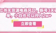 众狼电商余文小红书无货源电商风口,新号3天破首单,小白也可以月入2w+