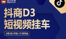 胡子好课 抖商D3短视频挂车:内容账户定位+短视频拍摄和剪辑+涨粉短视频实操指南等