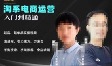 2023手淘搜索实操课+体系化课程,起店起单品实操视频课程