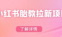 小红书胎教网盘拉新项目,可在私域变现两次(作品制作教程+素材)