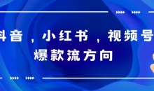 抖音,小红书,视频号爆款流视频制作,简单制作掌握流量密码