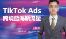 稳哥·如何投出高ROI的TikTok广告,开拓独立站卖家流量新蓝海