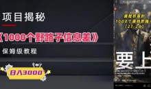 1000个野路子信息差保姆式教程-单日变现3000+的玩法解密
