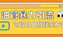 油管暴力引流,可以自由放联系方式【揭秘】