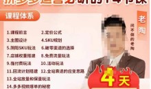 老陶电商·拼多多运营必听14节课,老陶亲授,拒绝口嗨,全后台实操演示