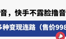 抖音快手不露脸撸音浪项目,多种变现连路(售价998)