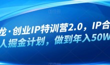 白龙·创业IP特训营2.0,IP合伙人掘金计划,做到年入50W