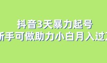 抖音3天暴力起号新手可做助力小白月入过万【揭秘】
