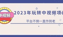 2023一心0基础玩转中视频项目:平台不倒,一直做到老【揭秘】