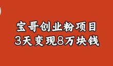 宝哥IP图文创业粉引流项目实战分享:单个账号3天涨粉1万,变现8万块钱(图文教程)【揭秘】