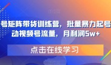 视频号矩阵带货训练营,批量暴力起号,撬动视频号流量,月利润5w+