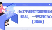 小红书被动引流副业兼职粉丝,一天轻松30粉【揭秘】
