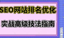 樊天华·SEO网站排名优化实战高级技法指南,让客户找到你