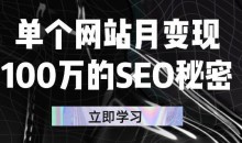 单个网站月变现100万的SEO秘密,百分百做出赚钱站点