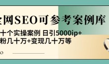 白杨全网SEO可参考案例库,几十个实操案例日引5000ip+涨粉百W+变现几十W等!