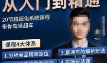 龙一·从入门到精通拼多多运营系列课,0-100的运营实操技巧,精细化系列课程带你弯道超车