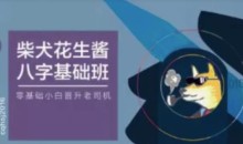 柴犬花生酱八字基础班送速成