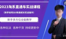 2023淘系直通车保姆式运营讲解,新手如何从0快速成长实战操作,新手多方位全能教学