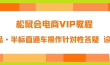 松鼠会电商VIP教程:松鼠《付费推广标品·半标直通车操作针对性答疑&诊断》